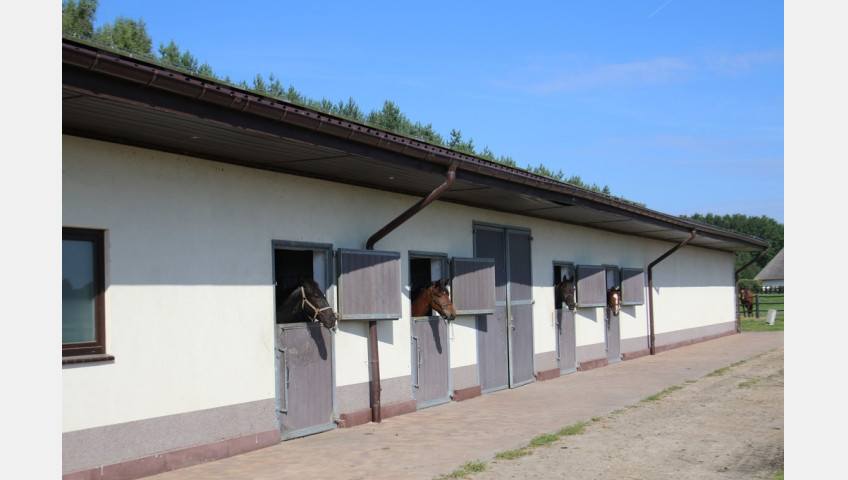 Dom Sprzedaż Dobropole