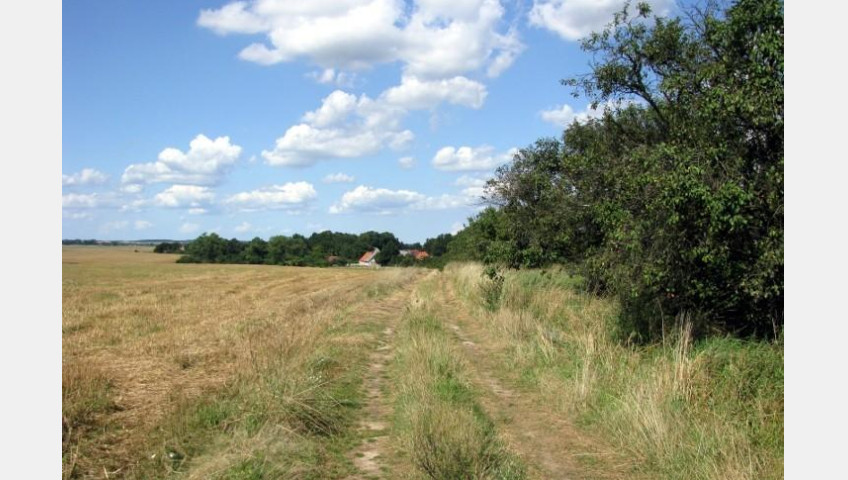 Działka Sprzedaż Barnisław