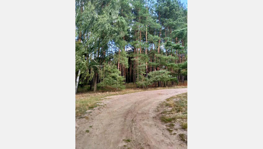 Działka Sprzedaż Tanowo Szczecińska
