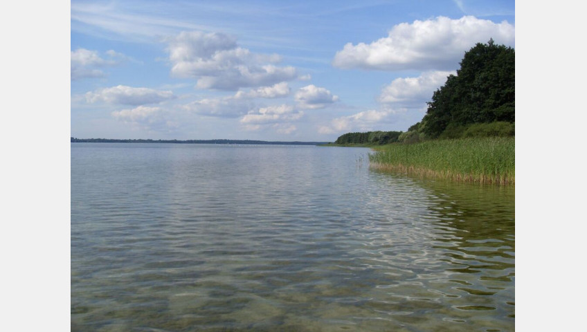Działka Sprzedaż Mielno