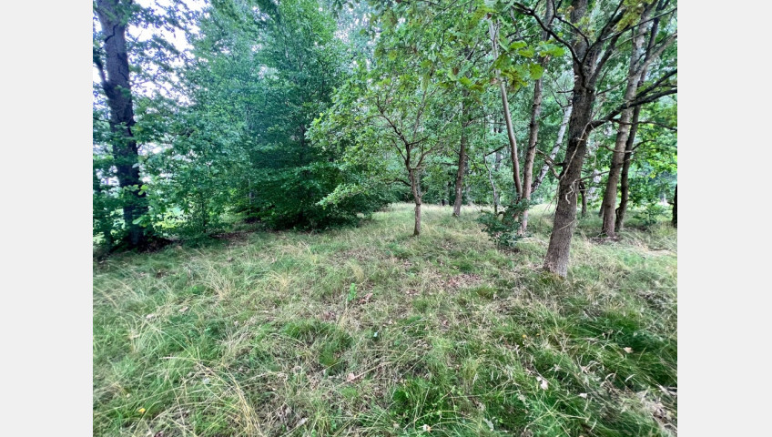Działka Sprzedaż Storkowo