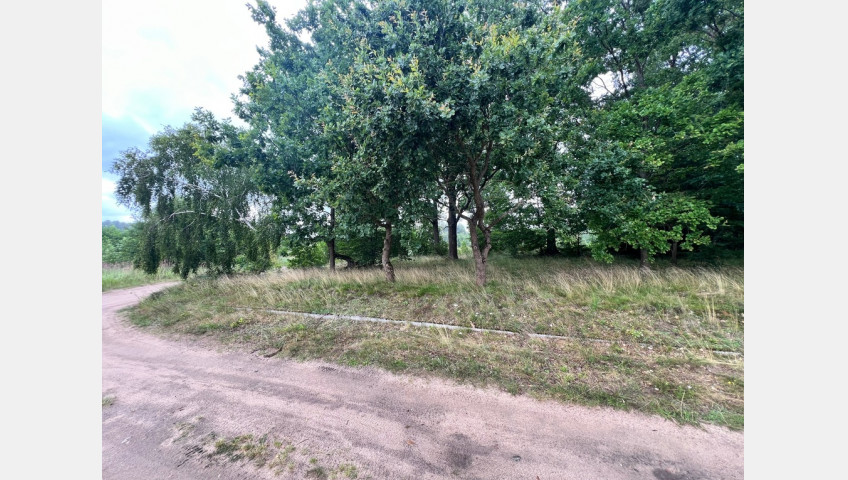 Działka Sprzedaż Storkowo