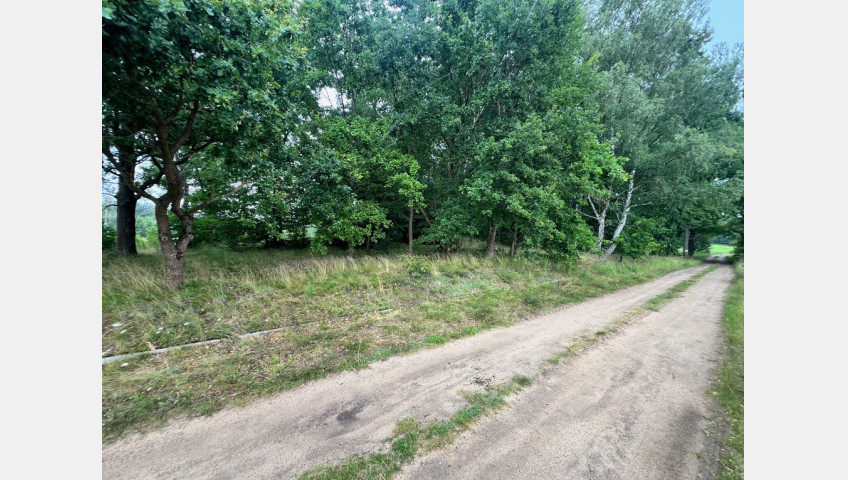 Działka Sprzedaż Storkowo