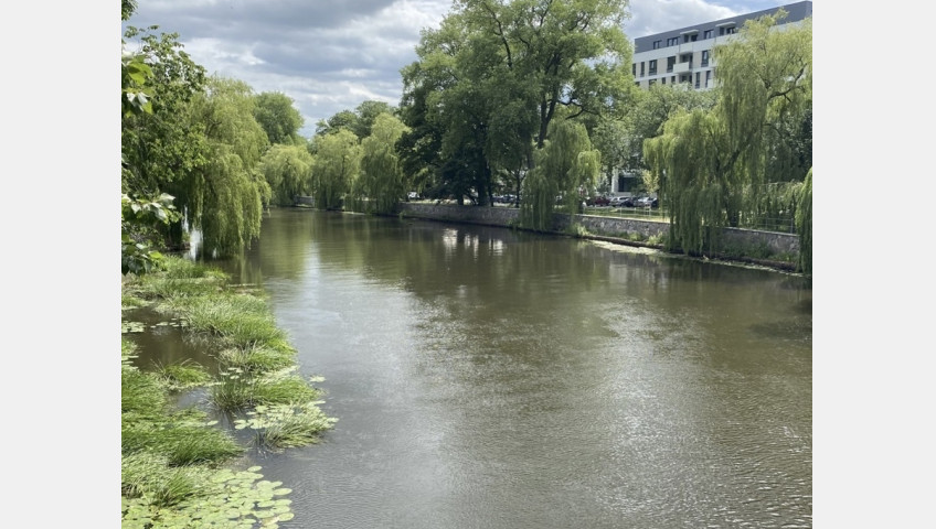 Mieszkanie Sprzedaż Kołobrzeg ppor. Edmunda Łopuskiego