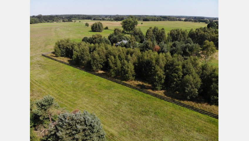 Działka Sprzedaż Dzisna