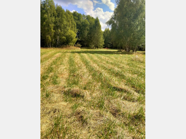 Działka Sprzedaż Grzepnica