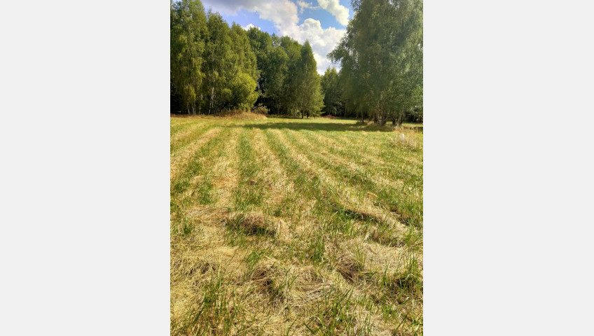 Działka Sprzedaż Grzepnica