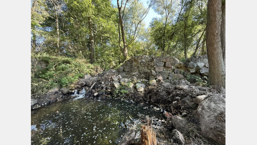 Działka Sprzedaż Stawno