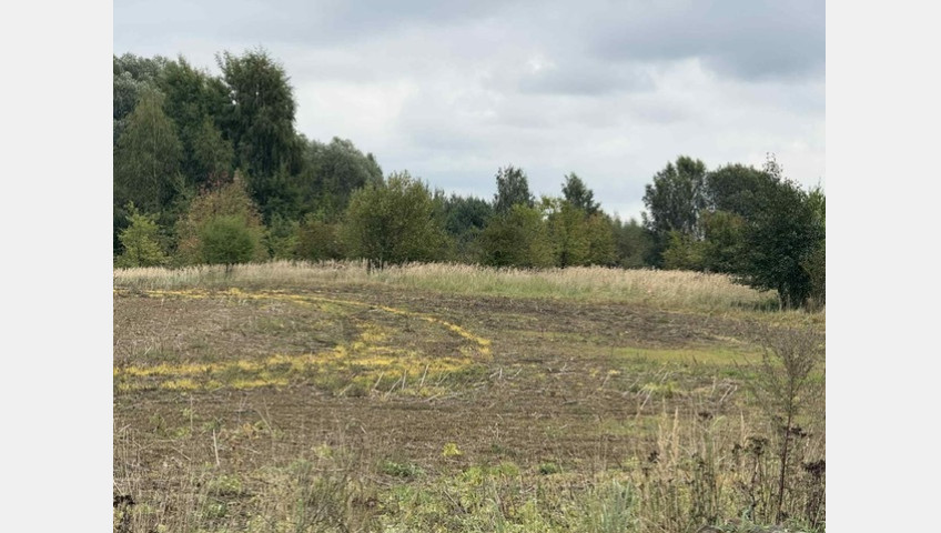 Działka Sprzedaż Stara Dąbrowa