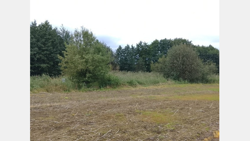 Działka Sprzedaż Stara Dąbrowa