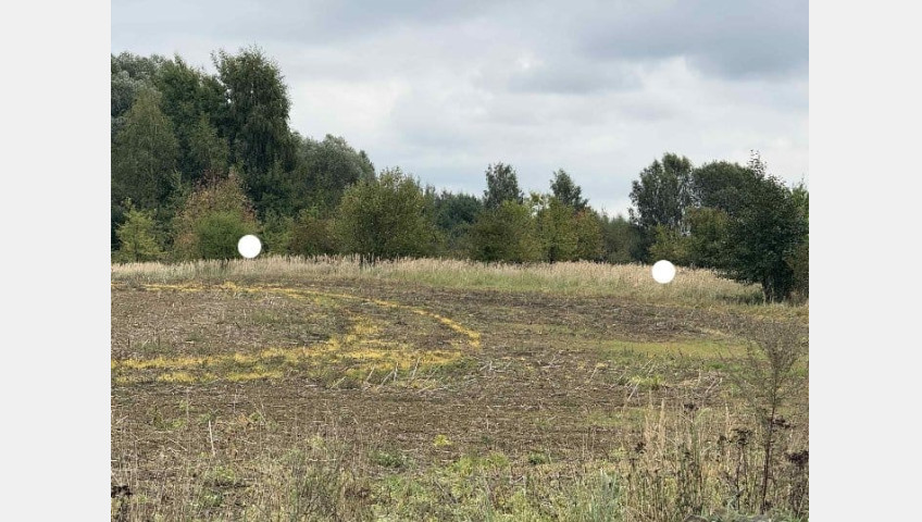 Działka Sprzedaż Stara Dąbrowa