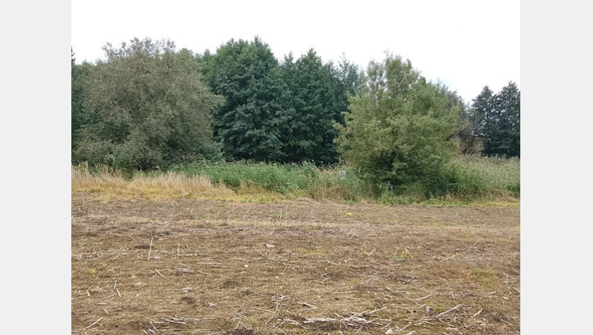 Działka Sprzedaż Stara Dąbrowa