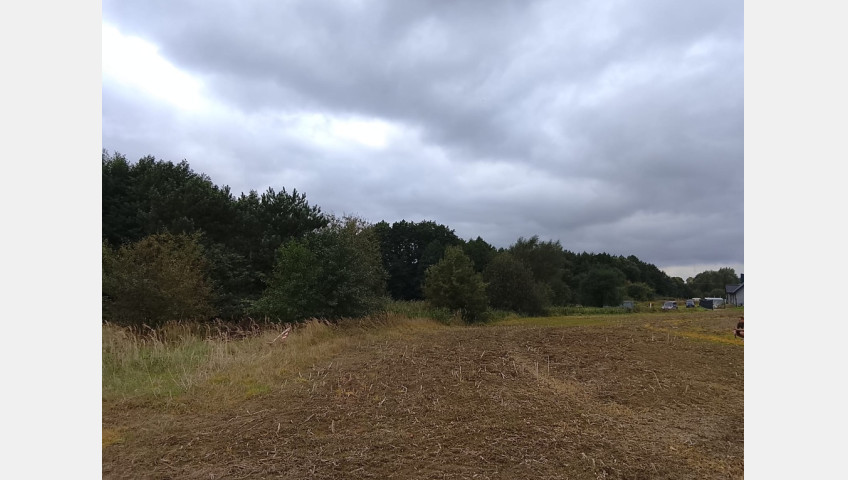 Działka Sprzedaż Stara Dąbrowa