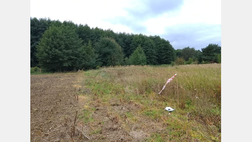 Działka Sprzedaż Stara Dąbrowa