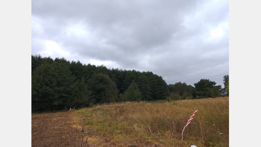 Działka Sprzedaż Stara Dąbrowa