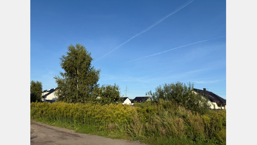 Działka Sprzedaż Załom