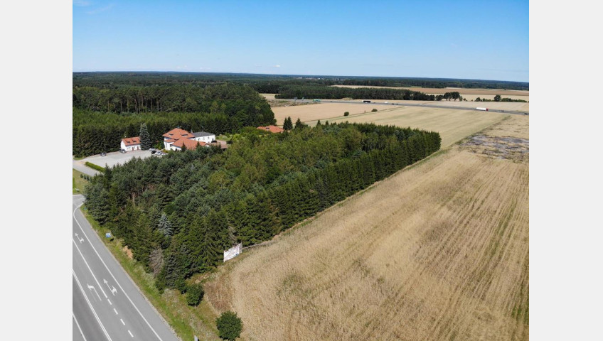 Działka Sprzedaż Kikorze