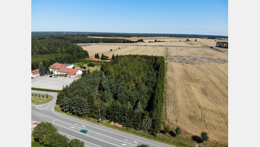 Działka Sprzedaż Kikorze