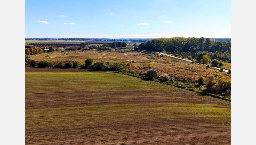 Działka Sprzedaż Goleniów Boczna