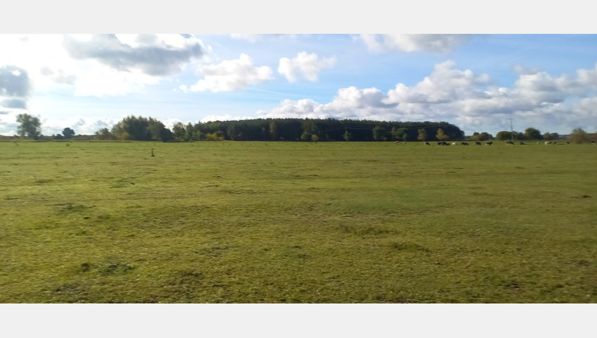 Działka Sprzedaż Borzysławiec