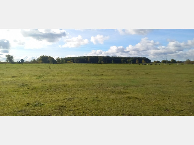 Działka Sprzedaż Borzysławiec