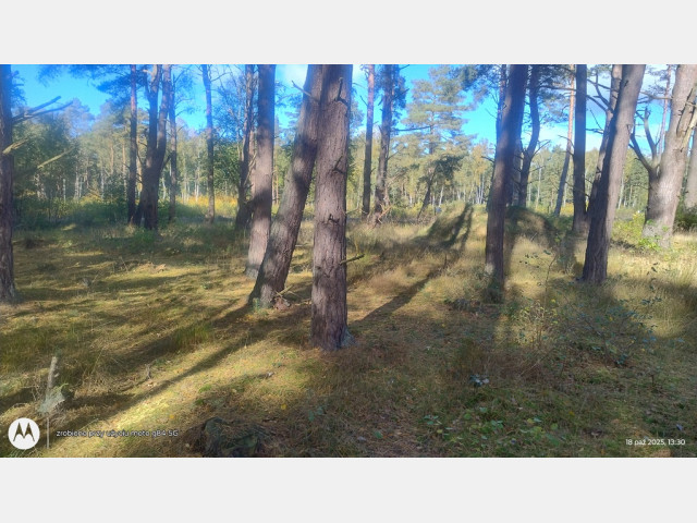 Działka Sprzedaż Dziwnów