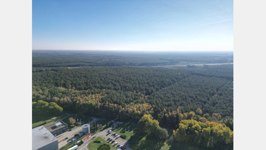 Działka Sprzedaż Łozienica