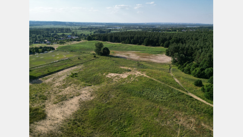 Działka Sprzedaż Daleszewo