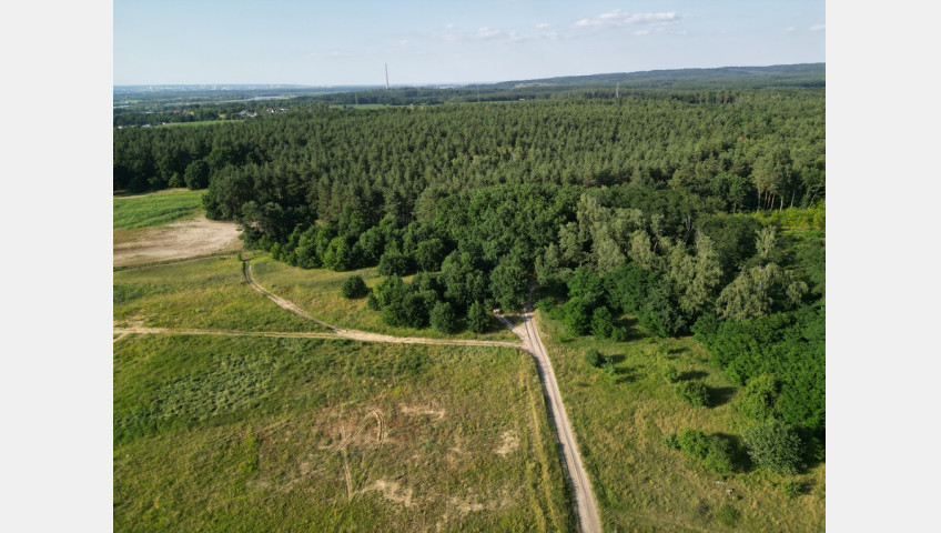 Działka Sprzedaż Daleszewo