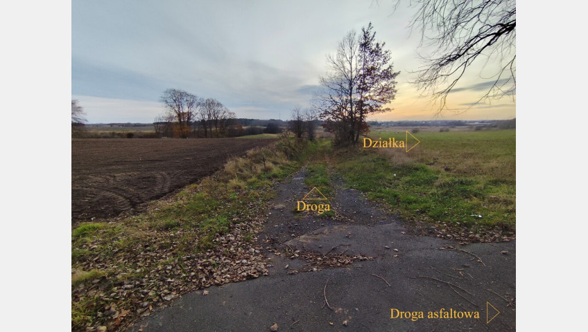 Działka Sprzedaż Wojcieszyn
