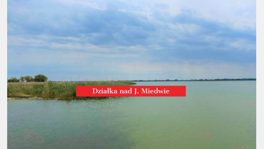 Działka Sprzedaż Wierzbno