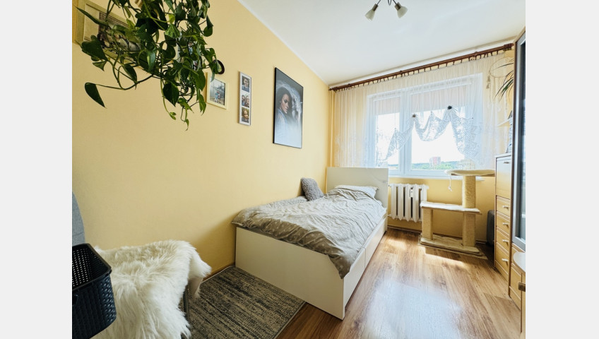 Mieszkanie Sprzedaż Szczecin os. Majowe Witolda Gombrowicza