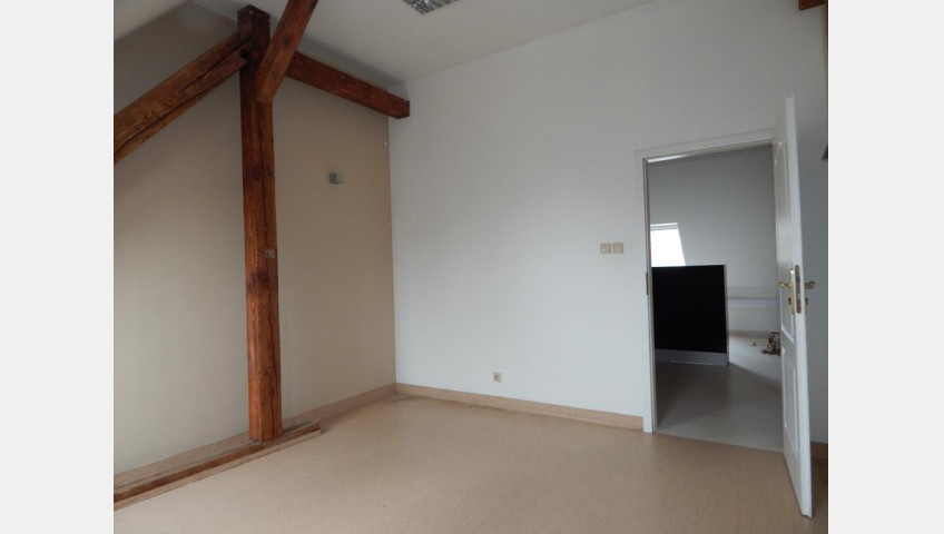 Lokal Wynajem Szczecin Śródmieście-Centrum