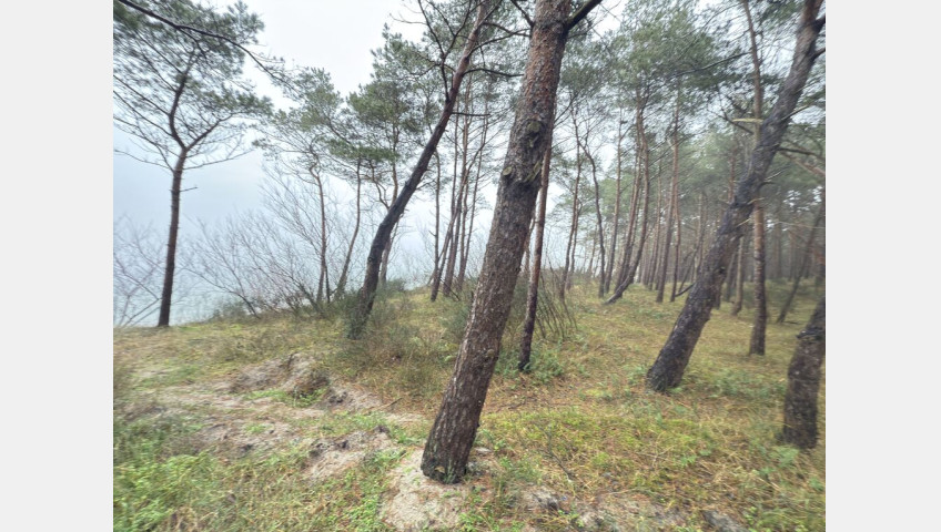 Mieszkanie Sprzedaż Międzywodzie Westerplatte
