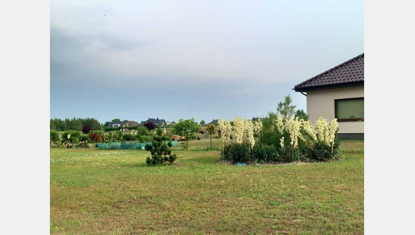Dom Sprzedaż Radziszewo