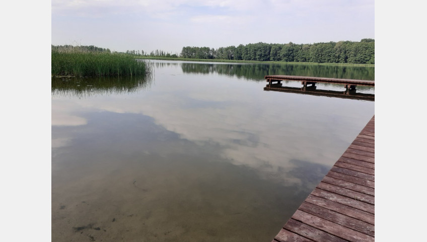 Działka Sprzedaż Sielsko