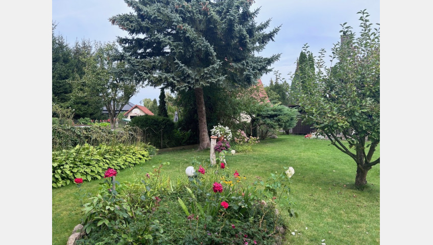 Dom Sprzedaż Nowe Warpno