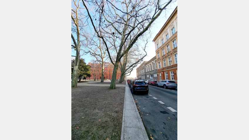 Lokal Wynajem Szczecin Nowe Miasto