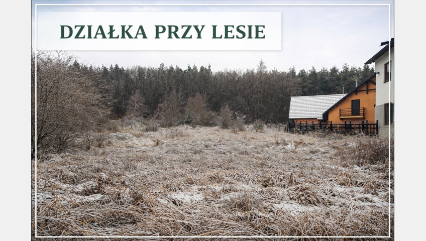 Działka Sprzedaż Pilchowo