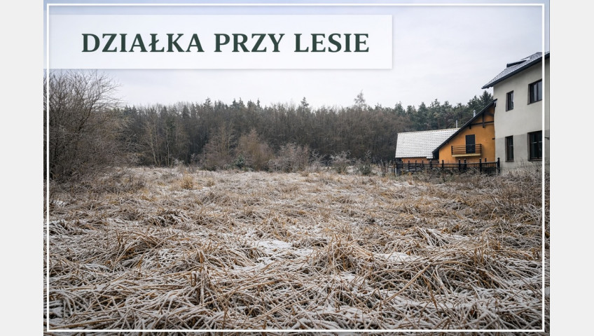 Działka Sprzedaż Pilchowo