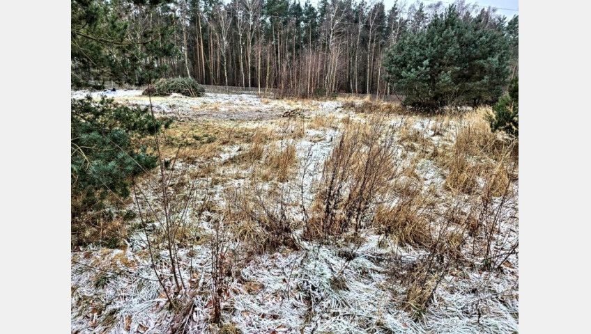 Działka Sprzedaż Dargobądz