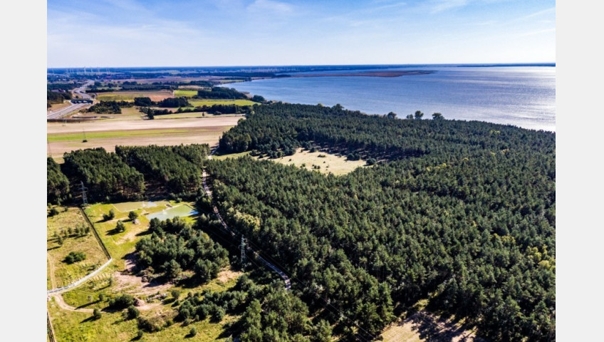 Działka Sprzedaż Dargobądz