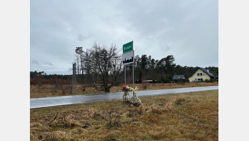 Działka Sprzedaż Brzózki