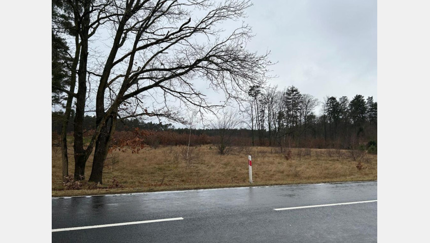 Działka Sprzedaż Brzózki