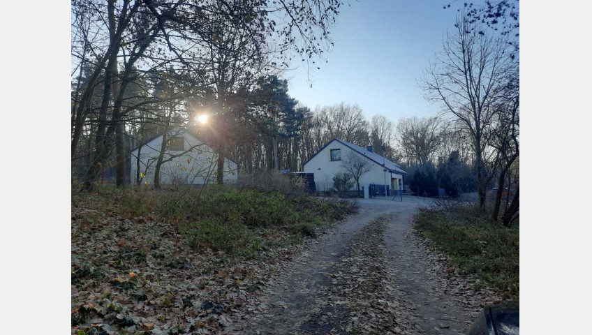 Działka Sprzedaż Czepino