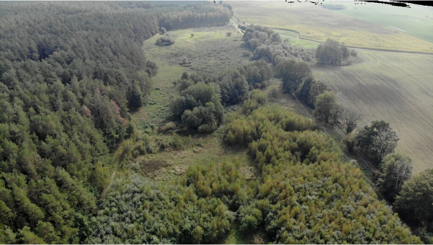 Działka Sprzedaż Rów