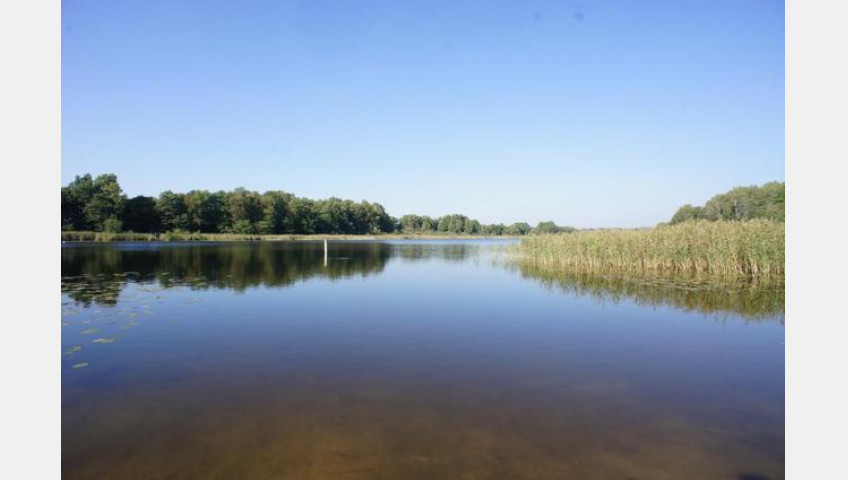 Działka Sprzedaż Dobra