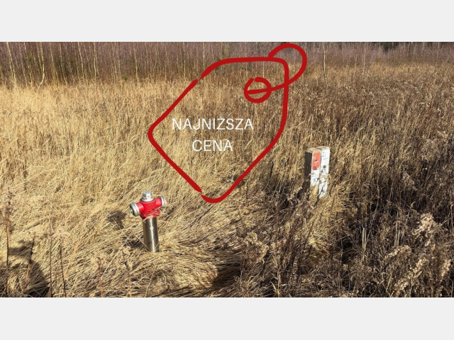 Działka Sprzedaż Żółwia Błoć