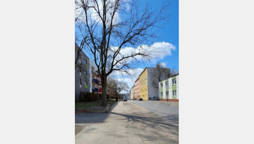 Lokal Wynajem Szczecin Śródmieście Jana Kazimierza