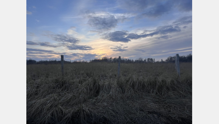 Działka Sprzedaż Szczecin Skolwin